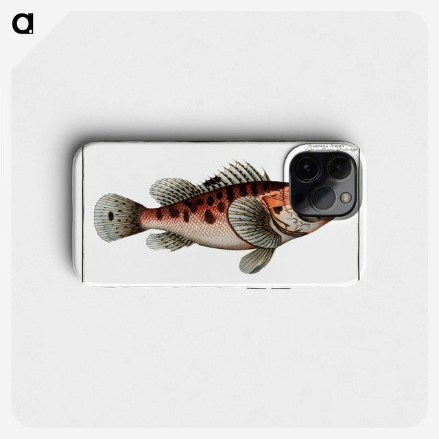 1-76_Ichtyologie-ou-Histoire-naturelle_phone
