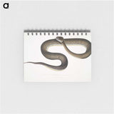 1-76_Indian-Zoology_memo