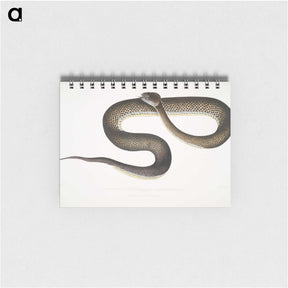 1-76_Indian-Zoology_memo