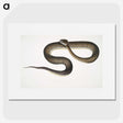 1-76_Indian-Zoology_picture
