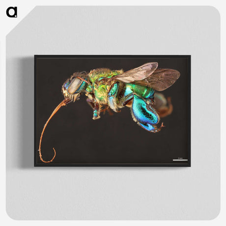 1-76_Insects-Unlocked-Project_blk-crop