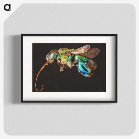 1-76_Insects-Unlocked-Project_blk