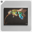 1-76_Insects-Unlocked-Project_canvas