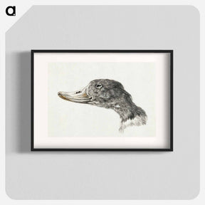 アートポスター-Head of a shelduck - ジャン ベルナール Poster.