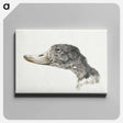 アートパネル-Head of a shelduck - ジャン ベルナール Canvas.