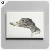 アートパネル-Head of a shelduck - ジャン ベルナール Canvas.