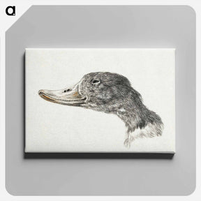アートパネル-Head of a shelduck - ジャン ベルナール Canvas.