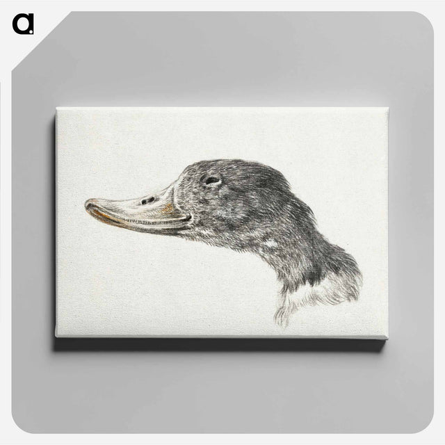 アートパネル-Head of a shelduck - ジャン ベルナール Canvas.