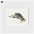 アートポストカード-Head of a shelduck - ジャン ベルナール Postcard.