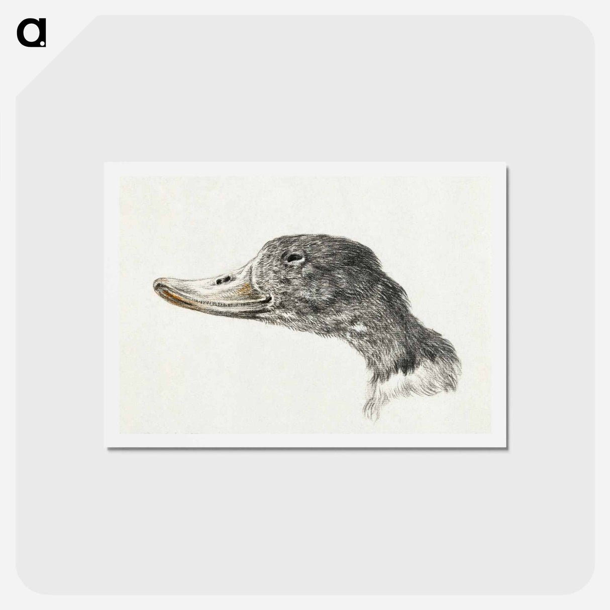 アートポストカード-Head of a shelduck - ジャン ベルナール Postcard.