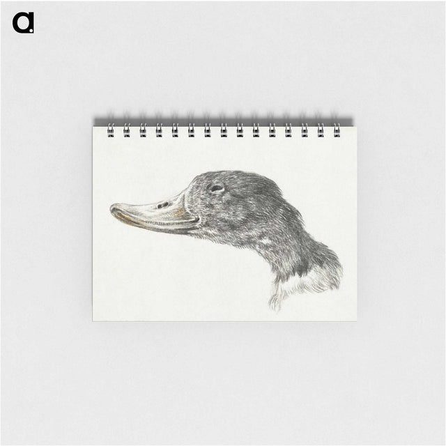 1-76_Jean-Bernard_memo