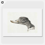 Head of a shelduck - ジャン ベルナール Poster.