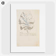 1-76_Johan-Thomas-Lundbye_picture