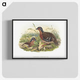 1-76_John-Gould_blk-crop