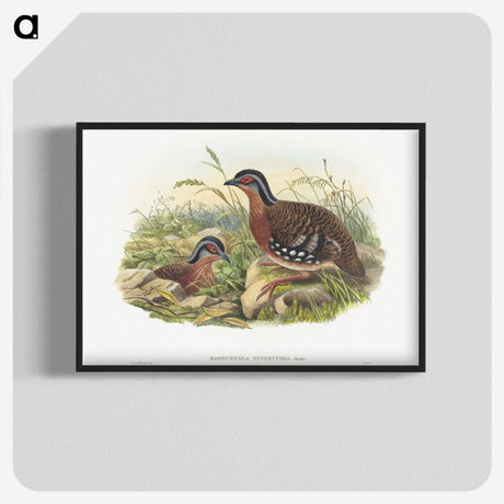 1-76_John-Gould_blk-crop