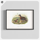 1-76_John-Gould_blk