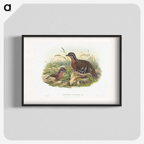1-76_John-Gould_blk