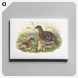 1-76_John-Gould_canvas