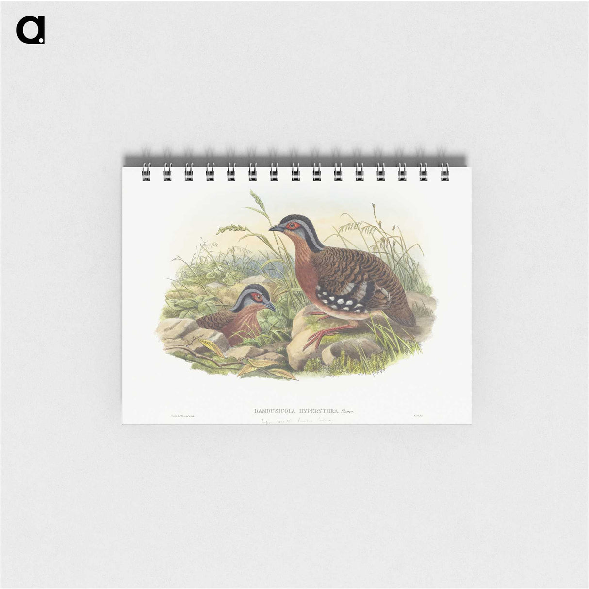 1-76_John-Gould_memo