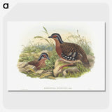 1-76_John-Gould_picture-crop