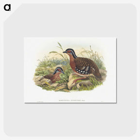 1-76_John-Gould_postcard