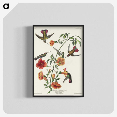 1-76_John-James-Audubon_blk-crop