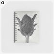 1-76_Karl-Blossfeldt_memo