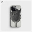 1-76_Karl-Blossfeldt_phone