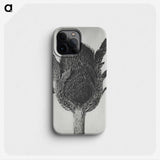 1-76_Karl-Blossfeldt_phone
