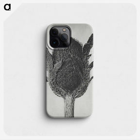 1-76_Karl-Blossfeldt_phone