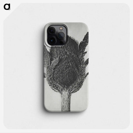1-76_Karl-Blossfeldt_phone