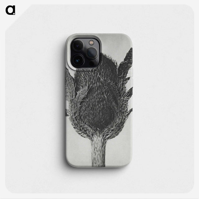 1-76_Karl-Blossfeldt_phone