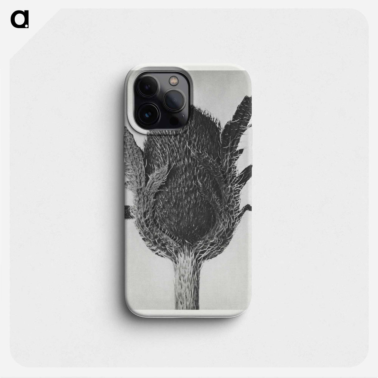 Papaver orientale - Karl Blossfeldt Phone Case.