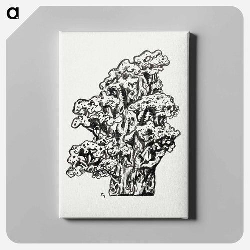 Coral - レオ ヘステル Canvas.