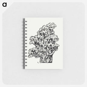 アートメモ帳-Coral - レオ ヘステル Memo.