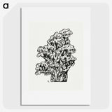 1-76_Leo-Gestel_picture