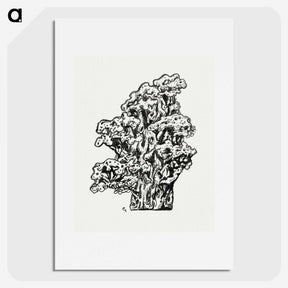 1-76_Leo-Gestel_picture