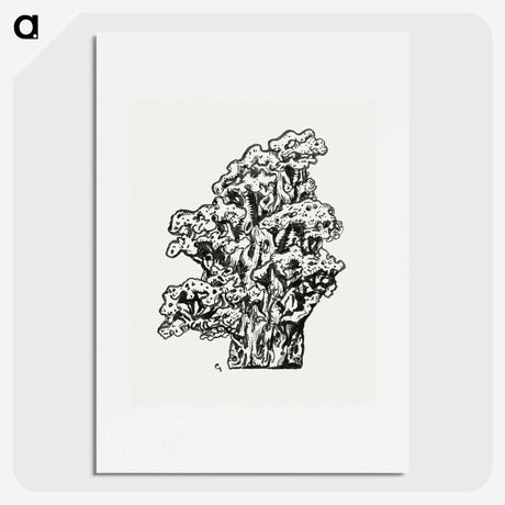1-76_Leo-Gestel_picture