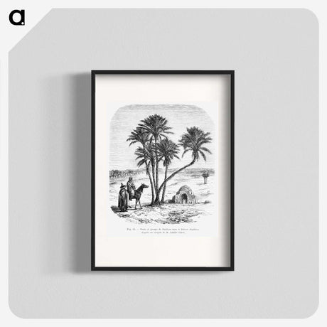 1-76_Les-Palmiers-Histoire-Iconographique_blk