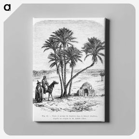 1-76_Les-Palmiers-Histoire-Iconographique_canvas