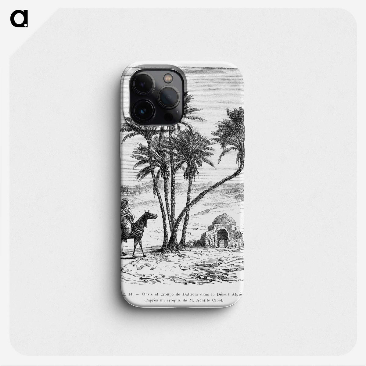 1-76_Les-Palmiers-Histoire-Iconographique_phone