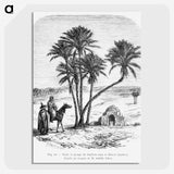 1-76_Les-Palmiers-Histoire-Iconographique_picture-crop