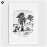 1-76_Les-Palmiers-Histoire-Iconographique_picture