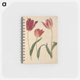 アートメモ帳-Tulipa Gesneriana
 - マリア ジビーラ メーリアン Memo.