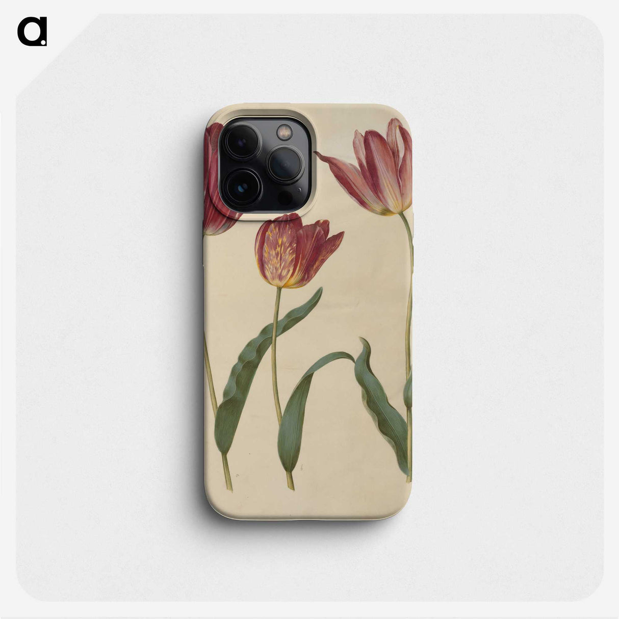 1-76_Maria-Sibylla-Merian_phone