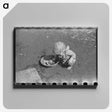 1-76_Marion-Post-Wolcott_canvas