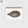 1-76_Mark-Catesby_memo