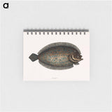 アートメモ帳-Sole Fish
 - マーク ケイツビー Memo.