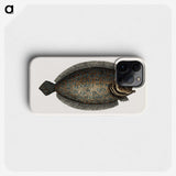 1-76_Mark-Catesby_phone