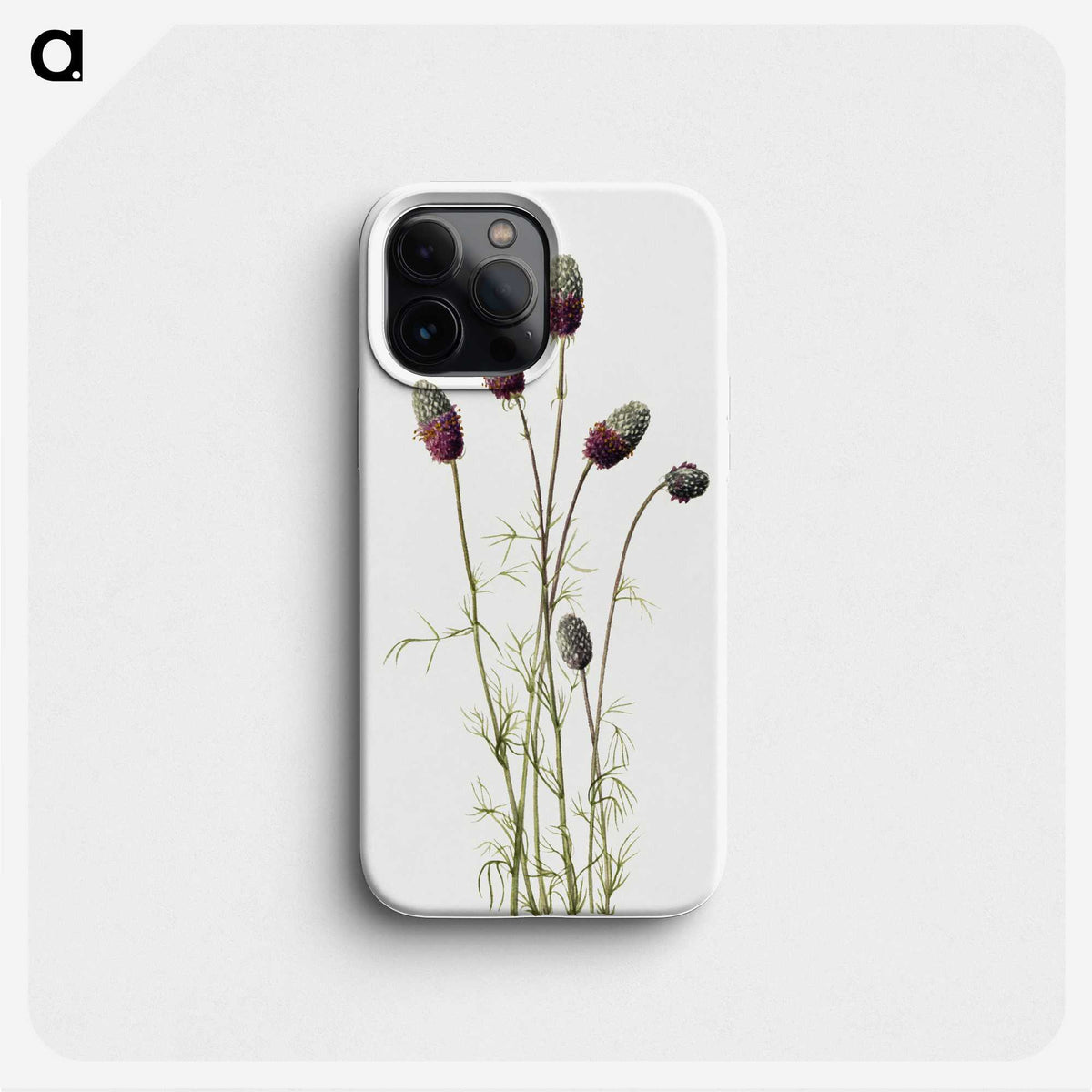 1-76_Mary-Vaux-Walcott_phone